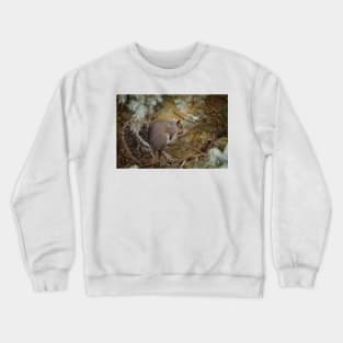 Gray Squirrel Crewneck Sweatshirt